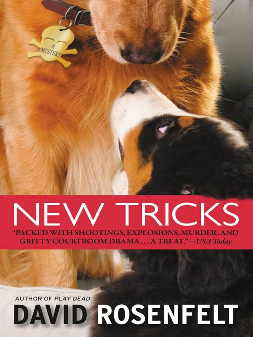 Click image to view full cover